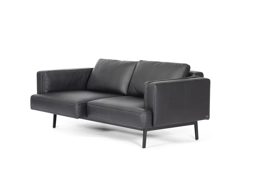 Zijkant Zetel canapé 2-zit Laviva DS-747 leder zwart De Sede
