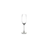 Tinta champagneglas- 21cl- set6