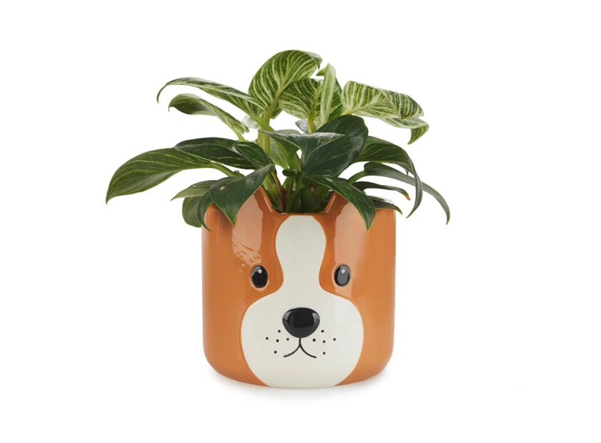 Bloempot hond- bruin- keramiek- met plant