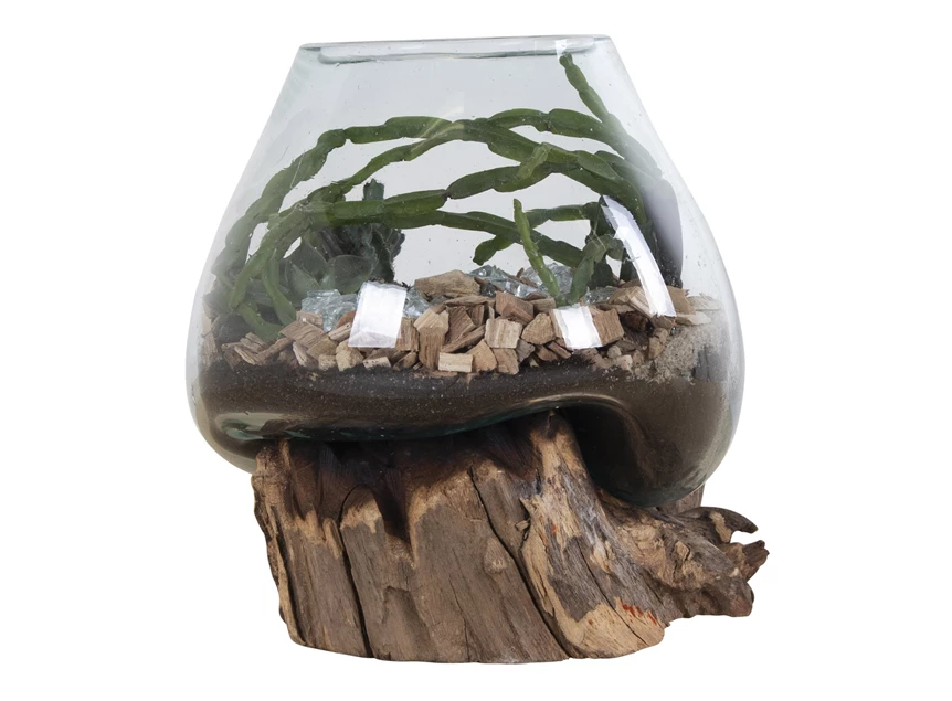 Waterdrop San Marino natuur 4501051 vaas uniek teak