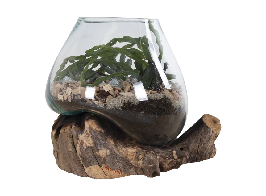 San Marino teak natuur 4501051 vaas uniek Waterdrop