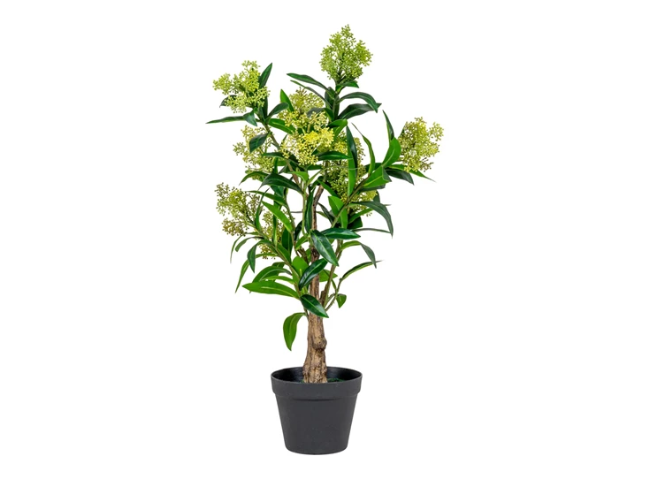 Kunstplant Skimmia 75cm 9501120 heester
