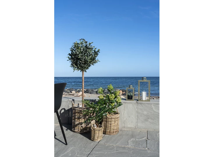 Kunstplant sfeerbeeld Skimmia 9501120 heester 75cm