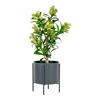 Kunstplant Skimmia 75cm 9501120 heester in pot