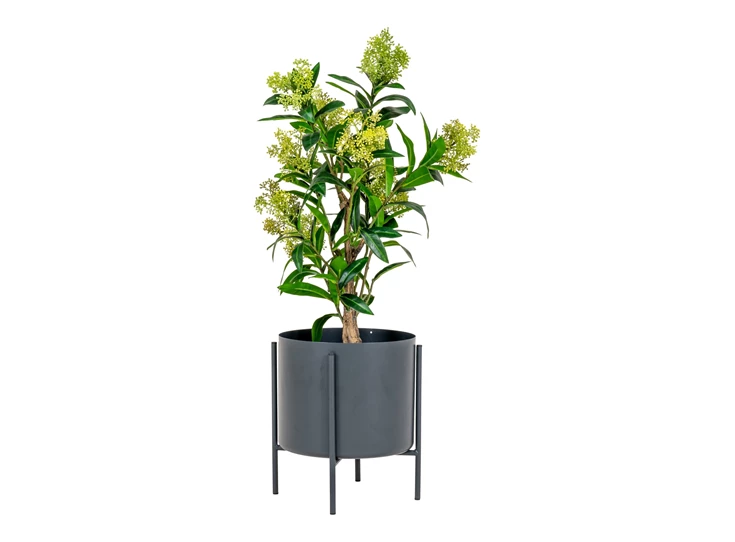 Kunstplant Skimmia 75cm 9501120 heester in pot