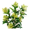 Kunstplant Skimmia 75cm 9501120 heesterdetail bovenaan