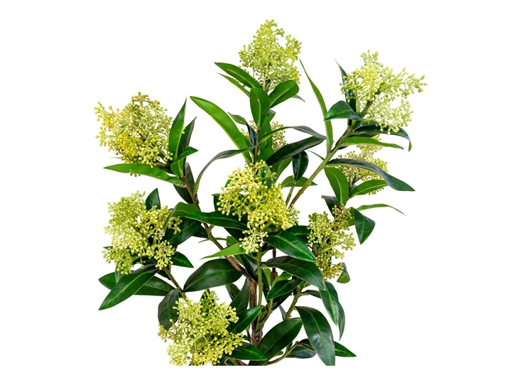 Kunstplant Skimmia 75cm 9501120 heesterdetail bovenaan