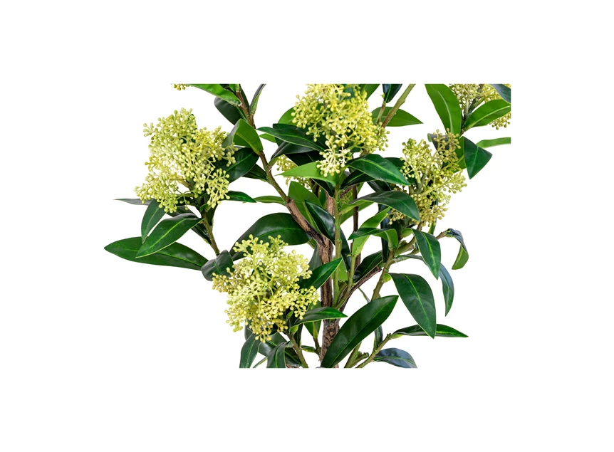 Kunstplant Skimmia 75cm 9501120 heester detail midden
