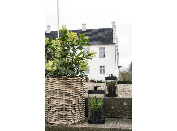 Kunstplant 75cm sfeerbeeld Skimmia 9501120 heester