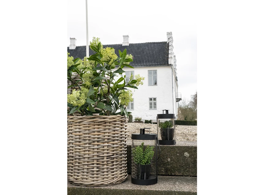 Kunstplant 75cm sfeerbeeld Skimmia 9501120 heester