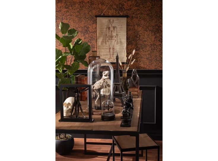 Vioolbladplant in pot- plastiek- groen- sfeerbeeld