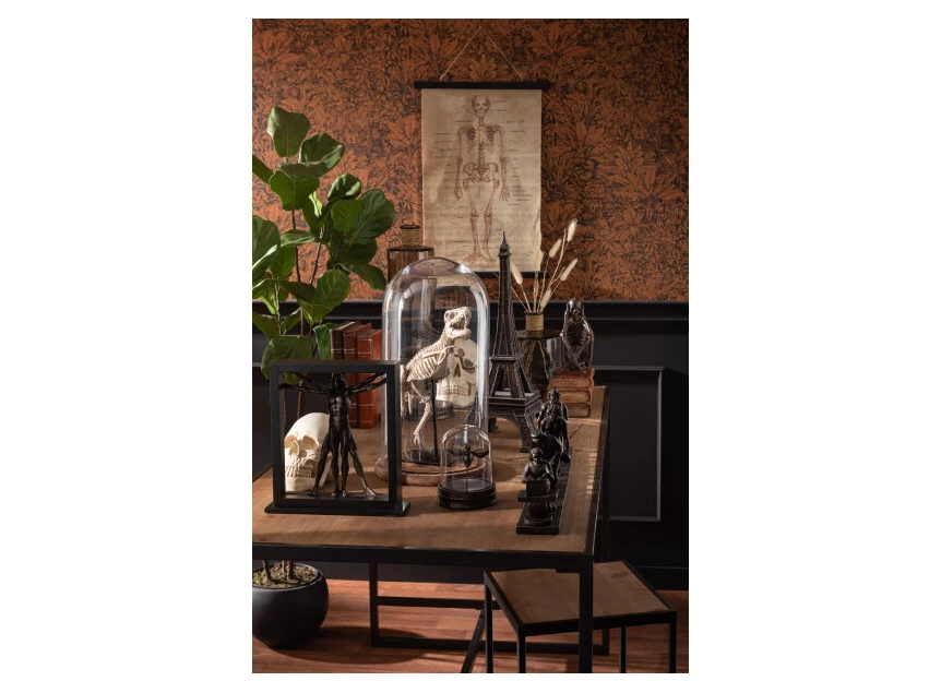 Vioolbladplant in pot- plastiek- groen- sfeerbeeld