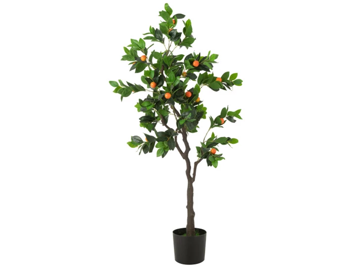 Kumquat in pot- plastiek- groen/oranje- large