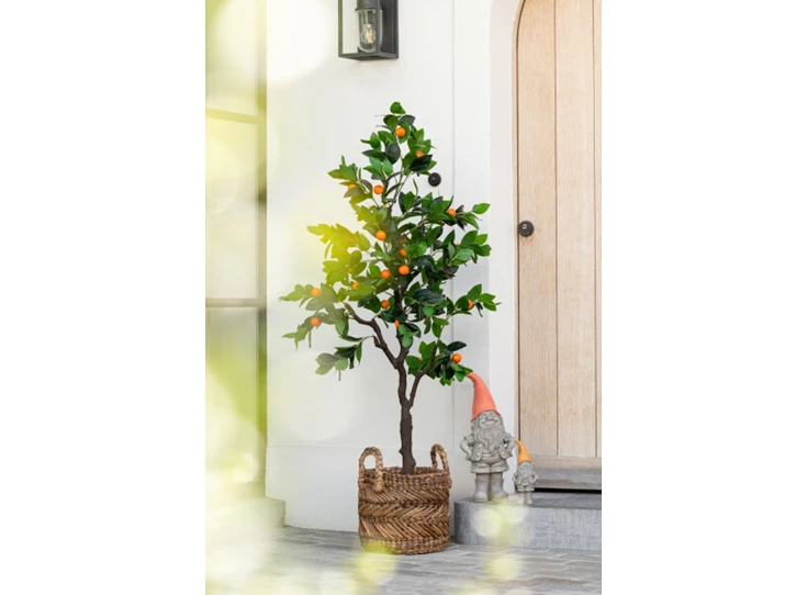 Kumquat in pot- plastiek- groen/oranje- large- sfeerbeeld