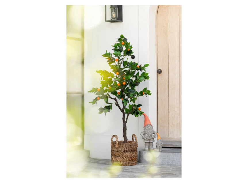 Kumquat in pot- plastiek- groen/oranje- large- sfeerbeeld