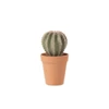 4114 J-Line Jolipa Kunstplant Cactus in pot Ø10cm H18cm