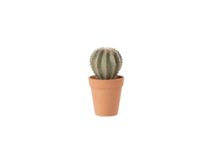 4114 J-Line Jolipa Kunstplant Cactus in pot Ø10cm H18cm