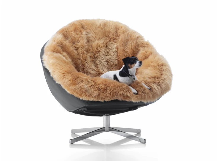 Hond in Bijzetzetel Coco DS-265 unit 1 schelp leder kussen schapenvacht De Sede
