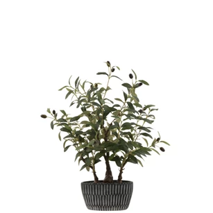 Olijfboom in pot- kunststof- groen