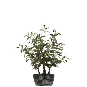 Olijfboom in pot- kunststof- groen