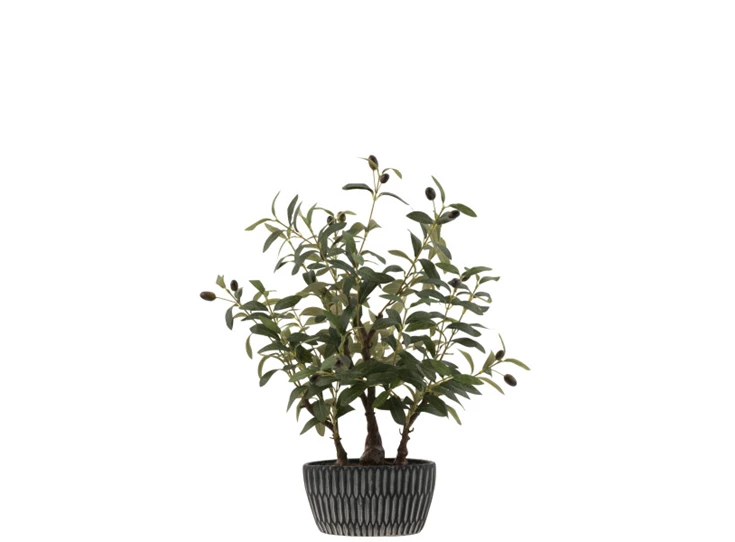 Olijfboom in pot- kunststof- groen