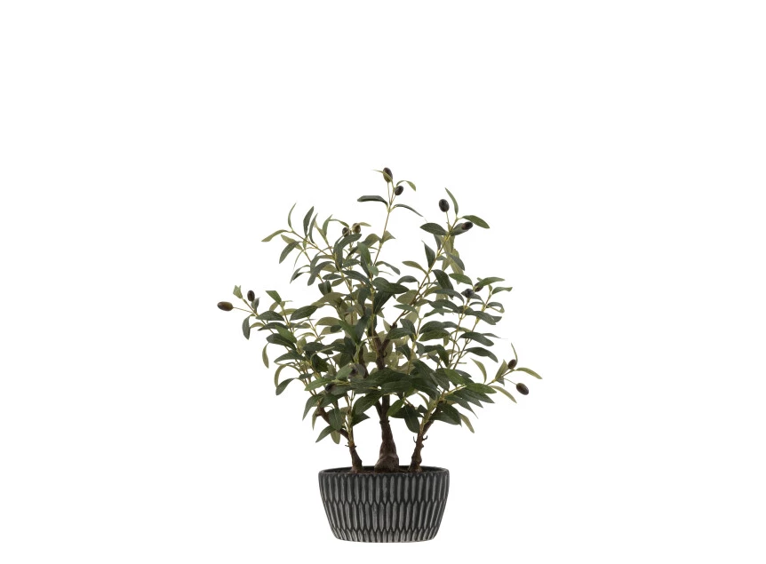 Olijfboom in pot- kunststof- groen