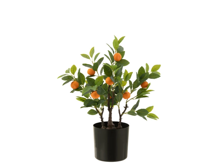 Sinaasappelboom in pot- kunststof- oranje/groen- smal
