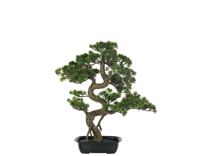 Podocarpus Bonsai- Kunststof- Groen- Large