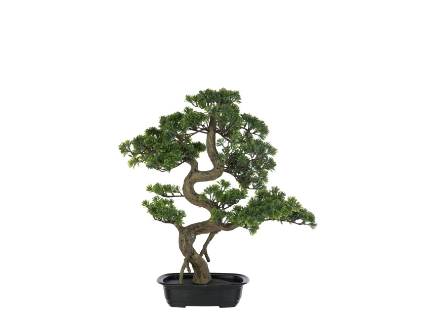 Podocarpus Bonsai- Kunststof- Groen- Large