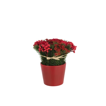 Rozen+Bessen In Pot Cement Plastiek Rood/Groen (20x20x25cm)