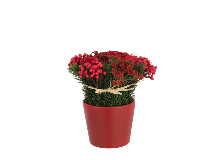 Rozen+Bessen In Pot Cement Plastiek Rood/Groen (20x20x25cm)