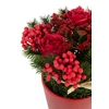 Rozen+Bessen In Pot Cement Plastiek Rood/Groen (20x20x25cm)- detail