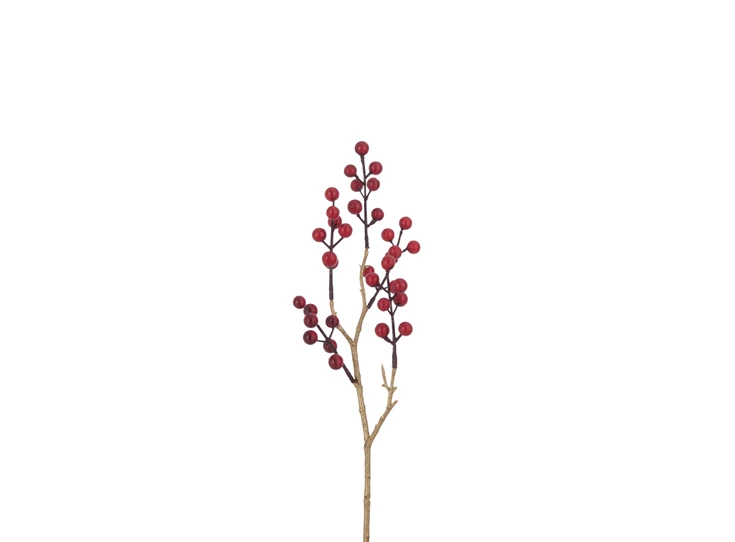 Tak Bessen Plastiek Rood/Goud (4x8x50cm)