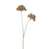 Tak 2 Bloemen Bessen Plastiek Goud (10x10x47cm)