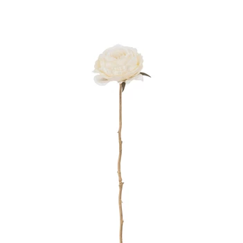 Roos 1 Stengel Plastiek Crème/Goud (8x8x56cm)