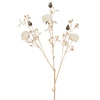 Rozenstruik 3 Bloemen+Knoppen Plastiek Crème/Goud (6x30x112cm)