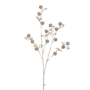 Tak Bramen Plastiek Champagne (4x12x89cm)