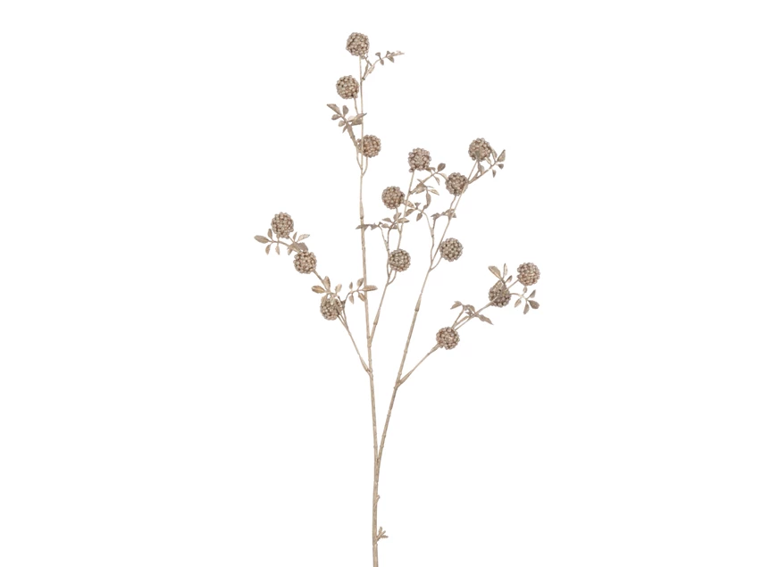 Tak Bramen Plastiek Champagne (4x12x89cm)