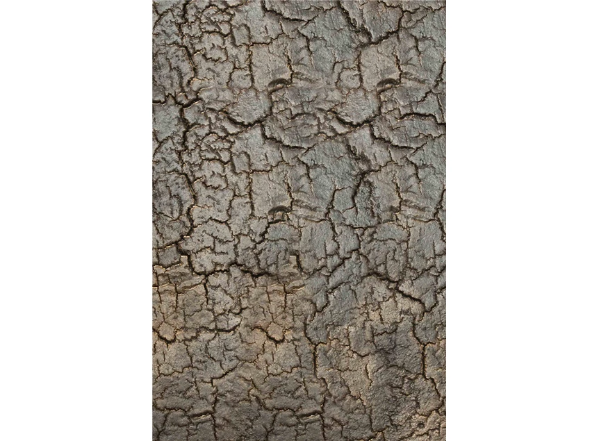 Detail Pentagon Console Lava Whisky 25896 Ethnicraft