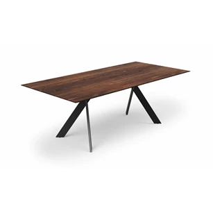 Tafel Torino rechthoekig massief hout Amerikaans noten metalen poot Willisau