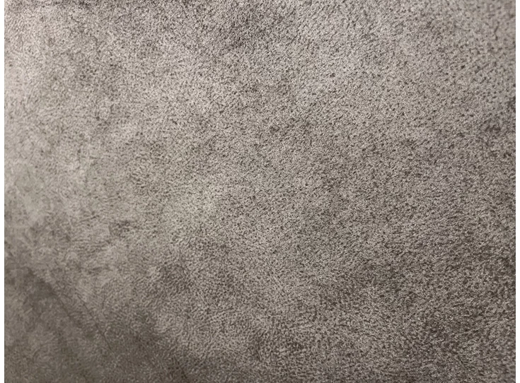 toonzaal francis kleur.JPG