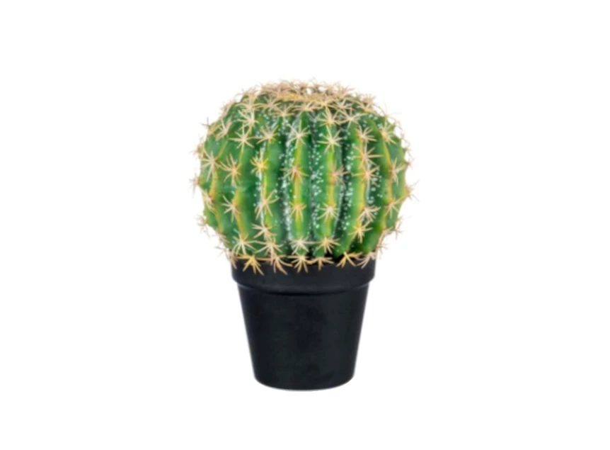 72008 J-Line Jolipa Kunstplant Cactus in pot Ø19cm H24cm