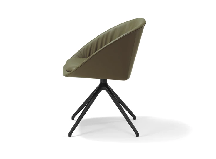 Zijkant Armstoel Dan 2044.1 hoge stervoet leder Draenert