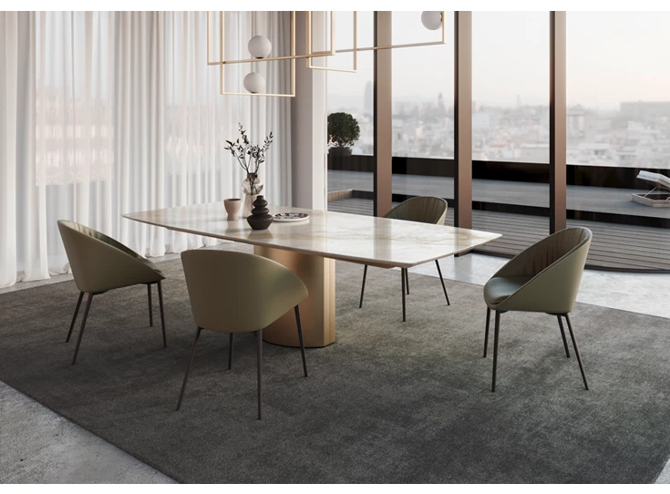 Sfeerfoto Armstoel Dan 2042 4 poot leder Draenert