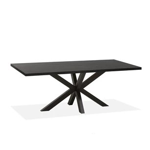 5513 Novac eettafel 220x100cm.jpg