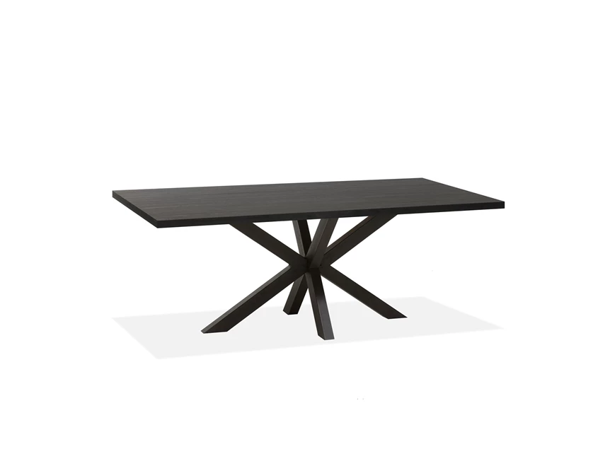 5513 Novac eettafel 220x100cm.jpg