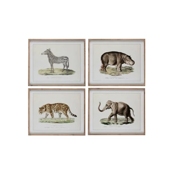 3535 J-line Jolipa kader dier