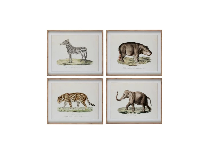 3535 J-line Jolipa kader dier