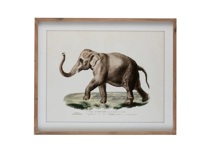 3534 J-Line Jolipa kader olifant