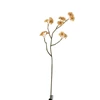 97293 J-Line Jolipa Kunstbloem Tweedia Oker